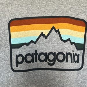 Men’s Large Patagonia T Shirt